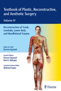 Textbook of Plastic, Reconstructive, and Aesthetic Surgery, Vol 4_cover