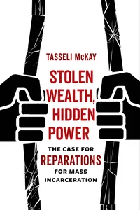 Stolen Wealth, Hidden Power_cover