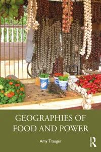 Geographies of Food and Power_cover