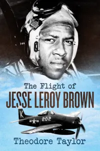 The Flight of Jesse Leroy Brown_cover