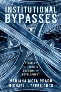 Institutional Bypasses_cover