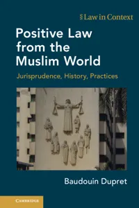 Positive Law from the Muslim World_cover