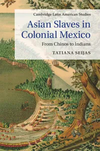 Asian Slaves in Colonial Mexico_cover
