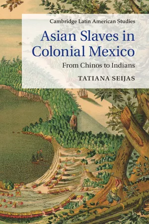 Asian Slaves in Colonial Mexico