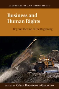 Business and Human Rights_cover