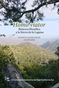 Homo viator_cover