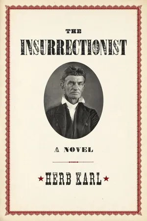 The Insurrectionist