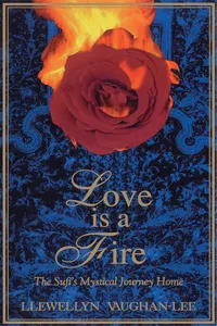 Love Is a Fire_cover