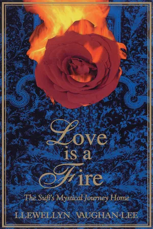 Love Is a Fire
