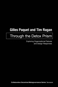 Through the Detox Prism_cover