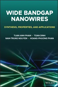 Wide Bandgap Nanowires_cover