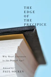 The Edge of the Precipice_cover