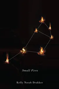 Small Fires_cover