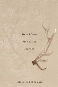Dust Blown Side of the Journey_cover
