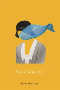 Translating Air_cover