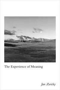 The Experience of Meaning_cover