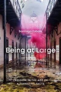 Being at Large_cover