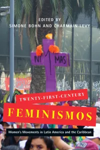 Twenty-First-Century Feminismos_cover
