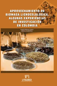 Aprovechamiento de biomasa lignocelulósica, algunas experiencias de investigación en Colombia_cover