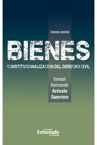 Bienes Constitucionalización del Derecho Civil_cover
