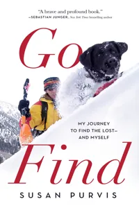 Go Find_cover