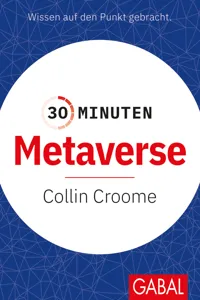 30 Minuten Metaverse_cover