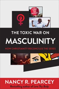 The Toxic War on Masculinity_cover