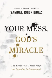 Your Mess, God's Miracle_cover