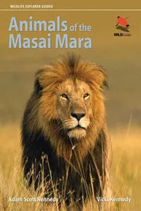 Animals of the Masai Mara_cover