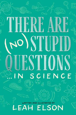 There Are (No) Stupid Questions … in Science