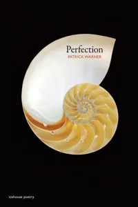 Perfection_cover
