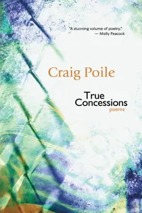 True Concessions_cover