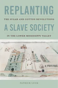 Replanting a Slave Society_cover