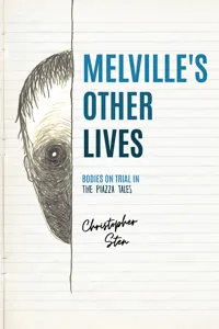 Melville’s Other Lives_cover