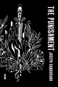 The Punishment_cover