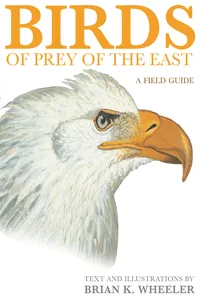 Birds of Prey of the East_cover