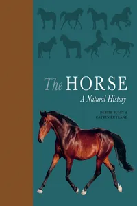 The Horse_cover