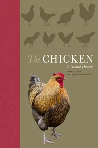 The Chicken_cover