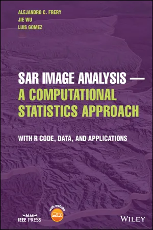 SAR Image Analysis - A Computational Statistics Approach