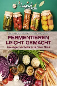 Fermentieren leicht gemacht_cover