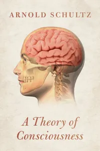 A Theory of Consciousness_cover