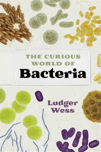 The Curious World of Bacteria_cover