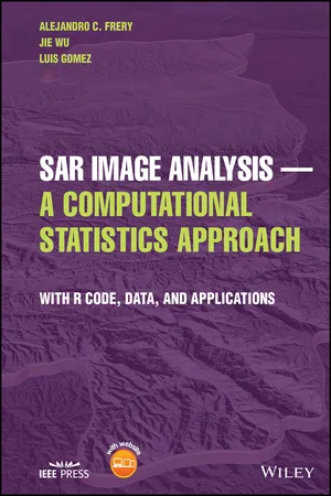 SAR Image Analysis - A Computational Statistics Approach