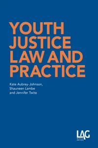 Youth Justice Law and Practice_cover