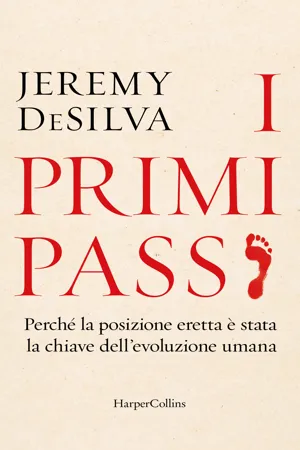 Primi passi