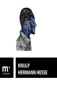 Knulp_cover