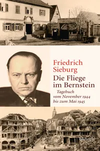 Die Fliege im Bernstein_cover