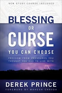 Blessing or Curse_cover