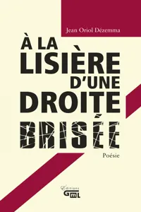 À la lisière d'une droite brisée_cover