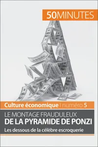 Le montage frauduleux de la pyramide de Ponzi_cover